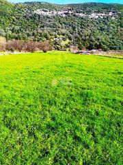 Οικόπεδο 4.100 τ.μ. για πώληση
