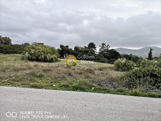 Αγροτεμάχια 1.200 τ.μ. για πώληση