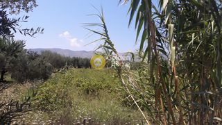 Οικόπεδο 3.500 τ.μ. για πώληση