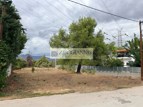 Land plot 758sqm for sale-Drosia