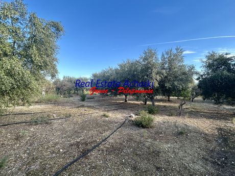 Αγροτεμάχια 4.250τ.μ. για πώληση-Ξυλόκαστρο » Καμάρι