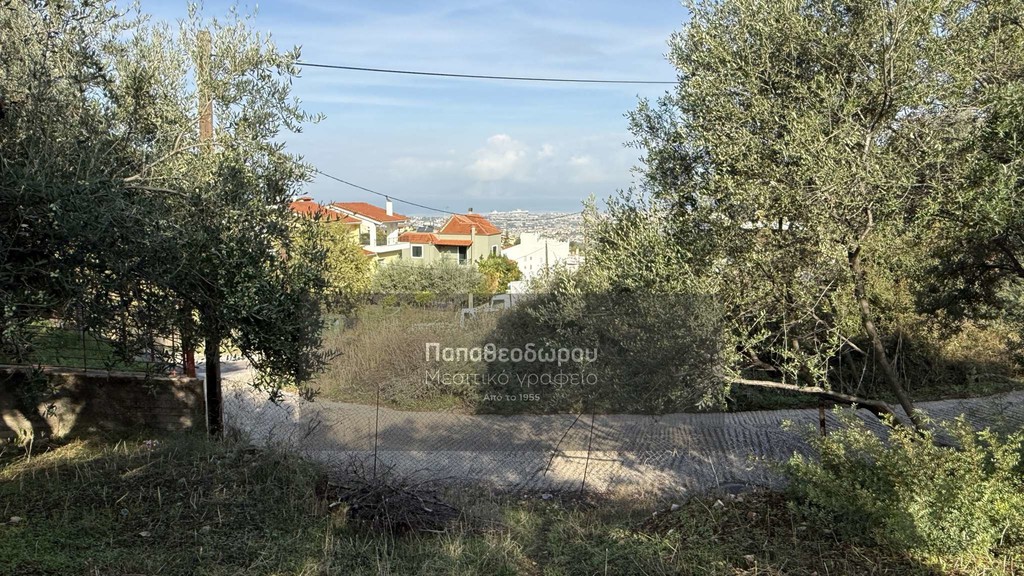 Οικόπεδο 1.508 τ.μ. προς πώληση, Μεσσάτιδα
