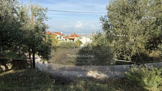 Οικόπεδο 1.508 τ.μ. για πώληση, Αχαΐα, Μεσσατίδα-thumb-3