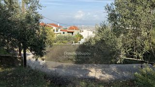 Οικόπεδο 1.508 τ.μ. για πώληση, Αχαΐα, Μεσσατίδα-thumb-4