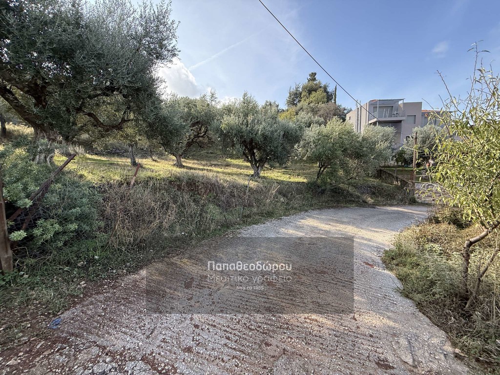 Οικόπεδο 1.508 τ.μ. για πώληση, Αχαΐα, Μεσσατίδα