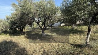 Οικόπεδο 1.508 τ.μ. για πώληση, Αχαΐα, Μεσσατίδα-thumb-2