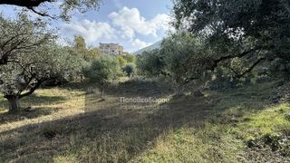 Οικόπεδο 1.508 τ.μ. για πώληση, Αχαΐα, Μεσσατίδα-thumb-1