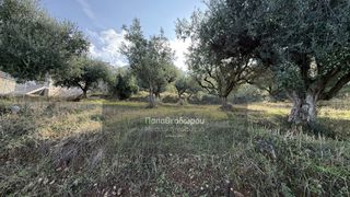 Οικόπεδο 1.508 τ.μ. για πώληση, Αχαΐα, Μεσσατίδα-thumb-7