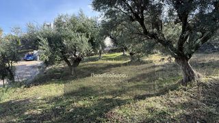 Οικόπεδο 1.508 τ.μ. για πώληση, Αχαΐα, Μεσσατίδα-thumb-8