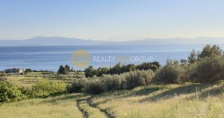 Οικόπεδο 30.000 τ.μ. για πώληση, Εύβοια, Λίμνη-thumb-9