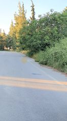 Οικόπεδο 30.000 τ.μ. για πώληση, Εύβοια, Λίμνη-thumb-3