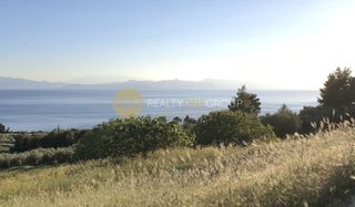 Οικόπεδο 30.000 τ.μ. για πώληση, Εύβοια, Λίμνη-thumb-5