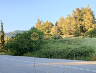 Οικόπεδο 30.000 τ.μ. για πώληση, Εύβοια, Λίμνη-thumb-10