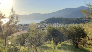 Οικόπεδο 30.000 τ.μ. για πώληση, Εύβοια, Λίμνη-thumb-8