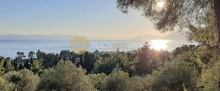 Οικόπεδο 30.000 τ.μ. για πώληση, Εύβοια, Λίμνη-thumb-6