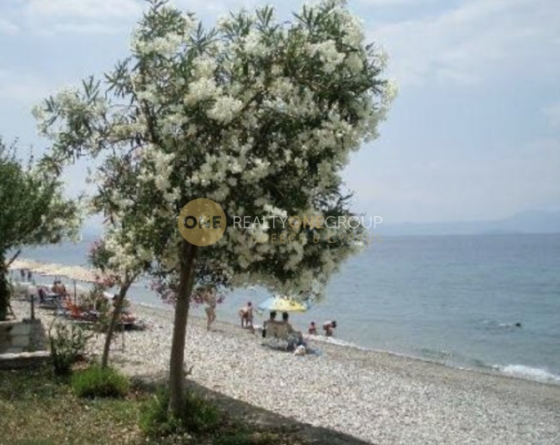 Οικόπεδο 30.000 τ.μ. προς πώληση, Ροβιές