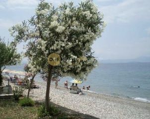 Οικόπεδο 30.000 τ.μ. για πώληση, Εύβοια, Λίμνη-thumb-2