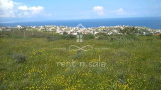 Αγροτεμάχια 6.000 τ.μ. για πώληση