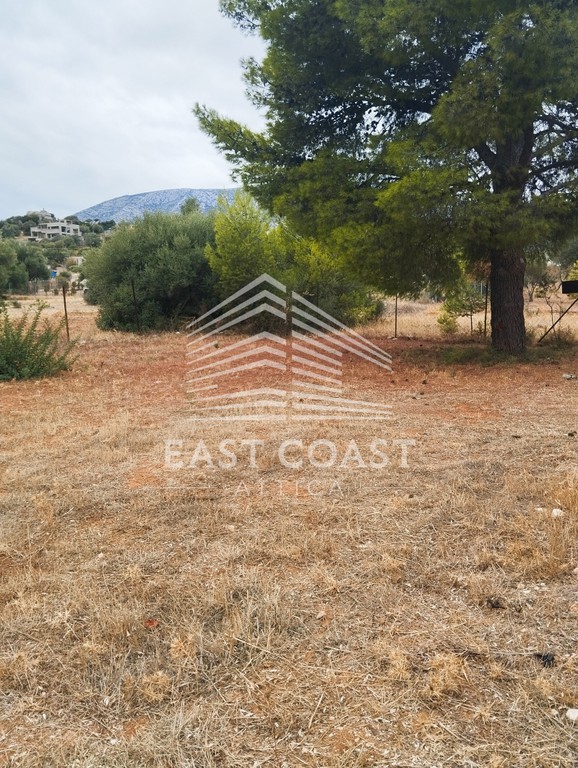 Οικόπεδο 206 τ.μ. πρός πώληση, Αθήνα - Ανατολικά Προάστια, Παιανία