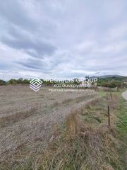 Οικόπεδο 9.500 τ.μ. για πώληση, Ν. Κοζάνης, Νεάπολης-thumb-4