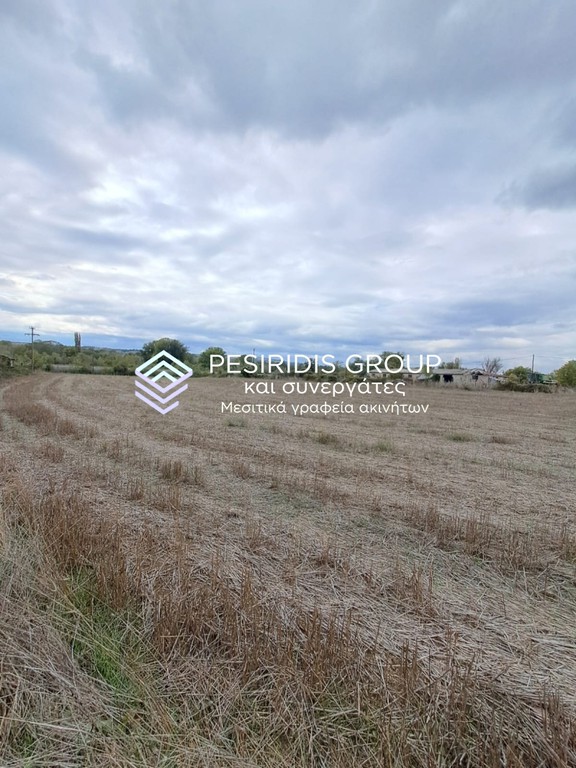 Οικόπεδο 9.500 τ.μ. πρός πώληση, Ν. Κοζάνης, Νεάπολης