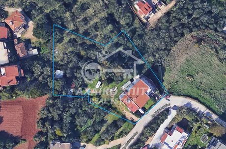 Βιοτεχνικός χώρος 250τ.μ. για πώληση-Μεσσατίδα » Κρήνη