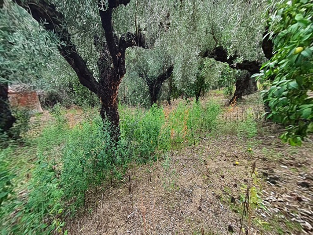 Μονοκατοικία 69 τ.μ. πρός πώληση, Ν. Ηλείας, Πύργος