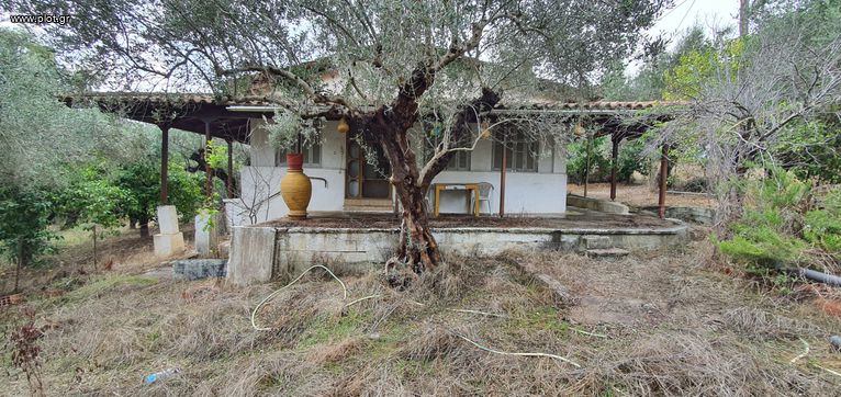 Μονοκατοικία 69 τ.μ. για πώληση, Ν. Ηλείας, Πύργος