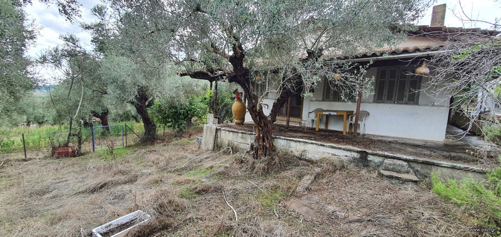 Μονοκατοικία 69 τ.μ. πρός πώληση, Ν. Ηλείας, Πύργος