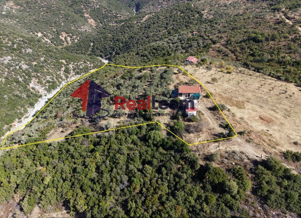 Μονοκατοικία 53 τ.μ. πρός πώληση, Μαγνησία, Μακρινίτσα