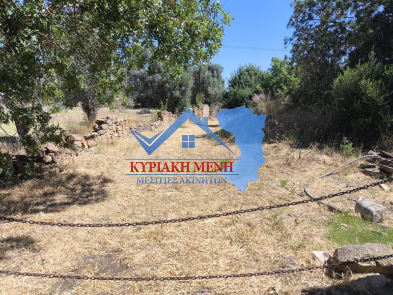 Οικόπεδο 1.350,64 τ.μ. προς πώληση, Άγιος Μηνάς Χίου