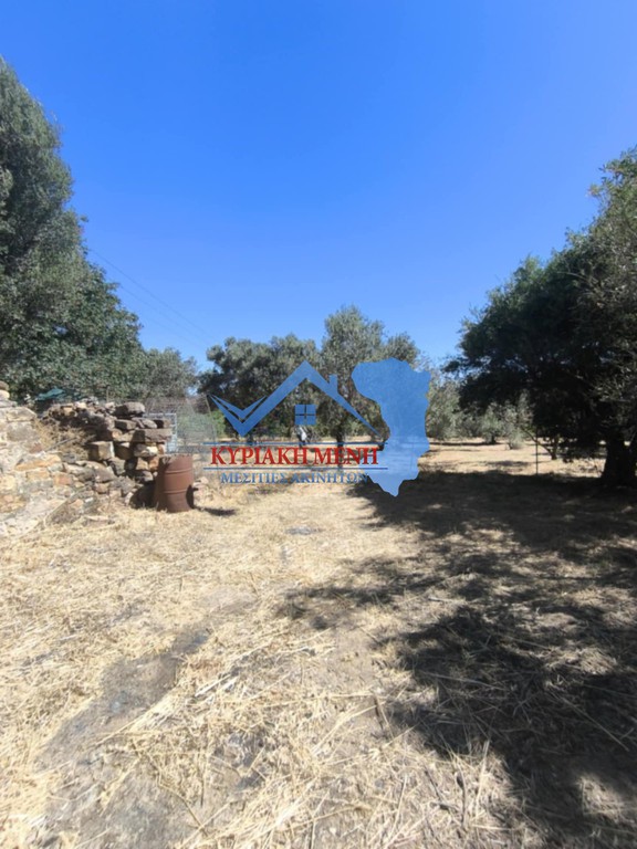 Οικόπεδο 1.350,64 τ.μ. προς πώληση, Άγιος Μηνάς Χίου