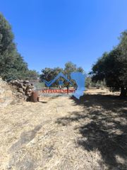 Οικόπεδο 1.350,64 τ.μ. για πώληση