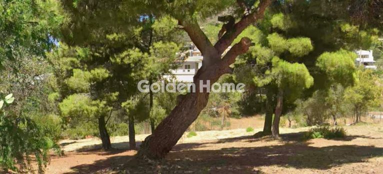Οικόπεδο 812 τ.μ. για πώληση, Αττική - Υπόλοιπο, Παλαιά Φώκαια