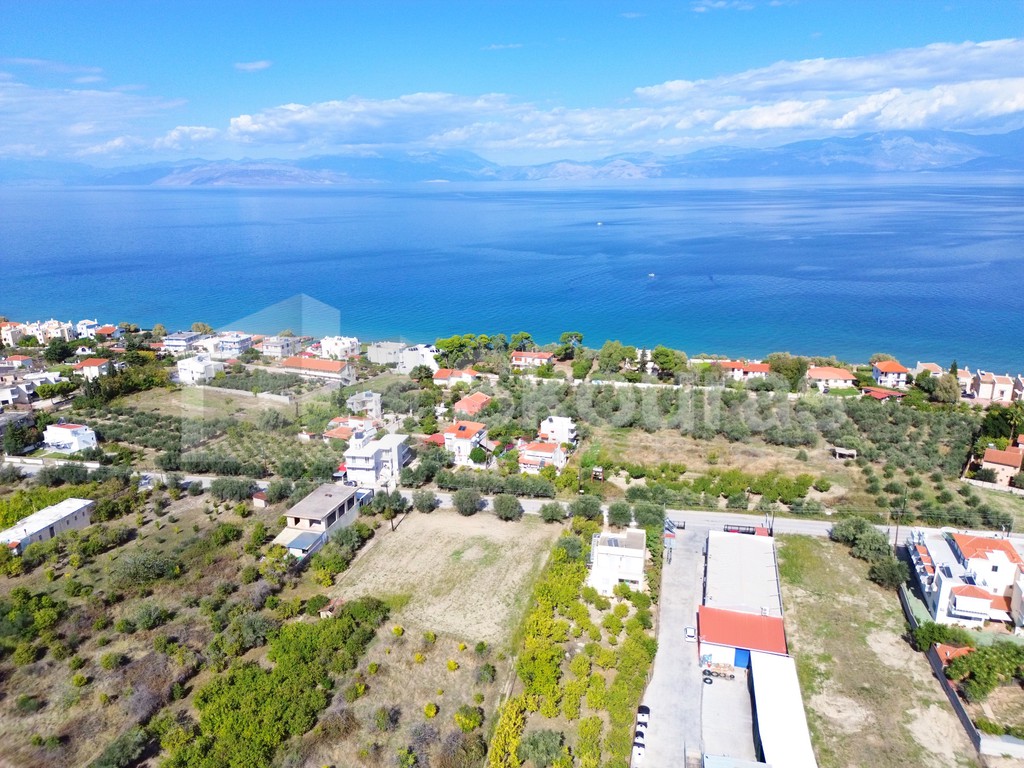 Οικόπεδο 1.884 τ.μ. προς πώληση, Καμάρι Ξυλοκάστρου