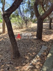 Αγροτεμάχια 7.500 τ.μ. για ενοικίαση, Αττική - Υπόλοιπο, Κερατέα-thumb-14