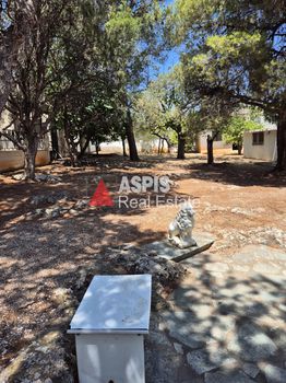 Αγροτεμάχια 7.500τ.μ. για ενοικίαση-Κερατέα