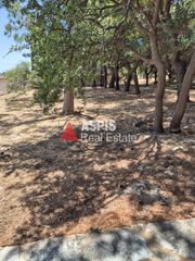 Αγροτεμάχια 7.500 τ.μ. για ενοικίαση, Αττική - Υπόλοιπο, Κερατέα-thumb-1