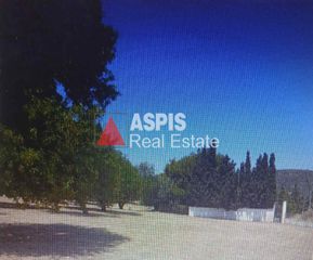 Αγροτεμάχια 7.500 τ.μ. για ενοικίαση, Αττική - Υπόλοιπο, Κερατέα-thumb-9