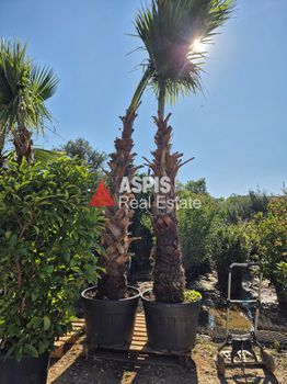 Επιχείρηση 100τ.μ. για πώληση-Κερατέα