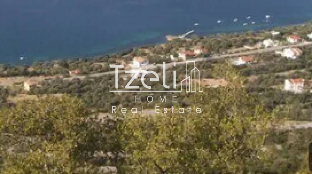 Οικόπεδο 4.485 τ.μ. προς πώληση, Σκροπονέρια Ανθηδώνος