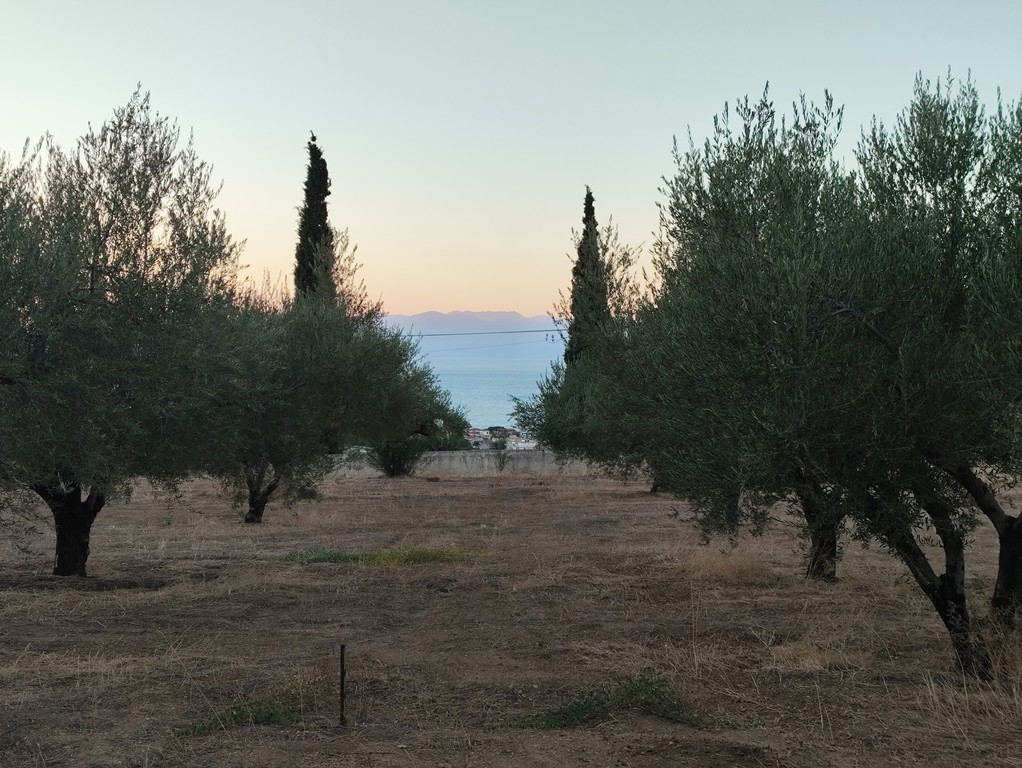 Οικόπεδο 3.397 τ.μ. πρός πώληση, Κορινθία, Ξυλόκαστρο
