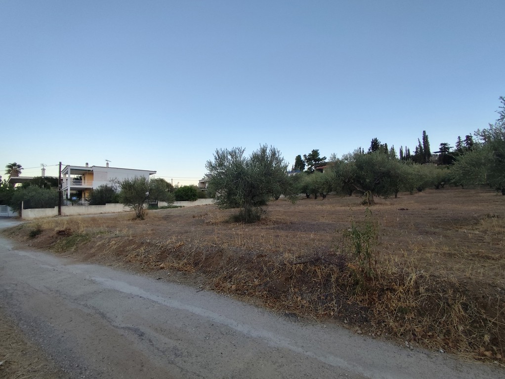 Οικόπεδο 3.397 τ.μ. πρός πώληση, Κορινθία, Ξυλόκαστρο