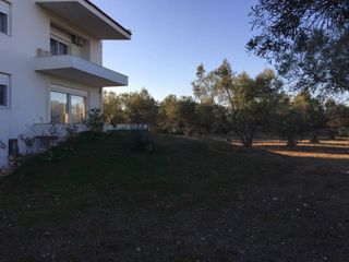 Βίλλα 300 τ.μ. για πώληση, Εύβοια, Ανθηδώνος-thumb-13