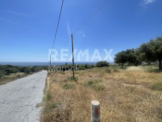 Οικόπεδο 1.277 τ.μ. για πώληση