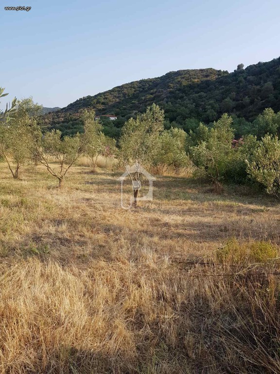 Αγροτεμάχια 4.817 τ.μ. προς πώληση, Παραλία Συκιάς