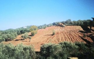 Οικόπεδο 6.150 τ.μ. για πώληση, Εύβοια, Αιδηψός-thumb-2