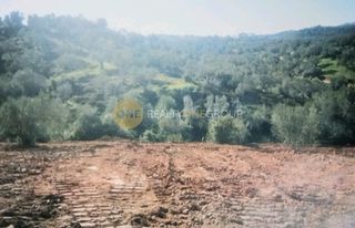 Οικόπεδο 6.150 τ.μ. για πώληση, Εύβοια, Αιδηψός-thumb-5