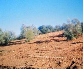 Οικόπεδο 6.150 τ.μ. για πώληση, Εύβοια, Αιδηψός-thumb-16