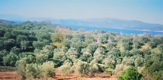Οικόπεδο 6.150 τ.μ. για πώληση, Εύβοια, Αιδηψός-thumb-12